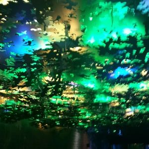 Meet your Posher, Colleen